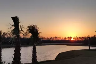 8528 Margaritaville Blvd, Panama City Beach, FL 32413 - Photo 46