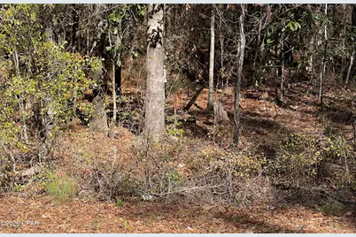 0 Jacob Main St. Street, Cottondale, FL 32431 - Photo 1