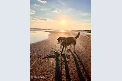 152 McCosh Mill Road, Port Saint Joe, FL 32456 - Photo 94