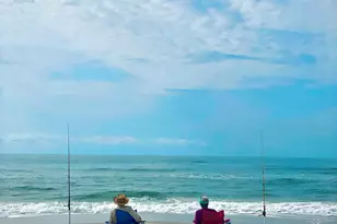 152 McCosh Mill Rd, Port Saint Joe, FL 32456 - Photo 92