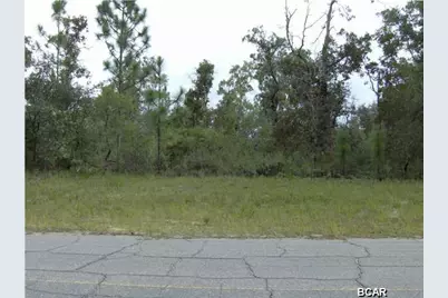 Lot 5 Darlington Drive, Chipley, FL 32428 - Photo 4