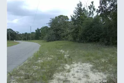 Lot 5 Darlington Drive, Chipley, FL 32428 - Photo 2