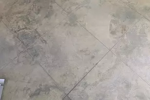 13733 Windsor Ave, Youngstown, FL 32466 - Photo 16