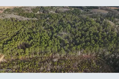 000 T J Mitchell Road, Bonifay, FL 32425 - Photo 2