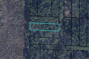 000 T J Mitchell Rd, Bonifay, FL 32425 - Photo 1