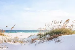 2719 State Road 30A, Port Saint Joe, FL 32456 - Photo 68