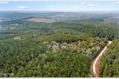 Xxx Sumac Road, Westville, FL 32464 - Photo 14