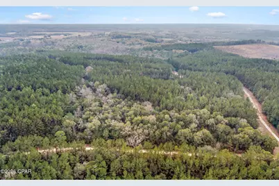 Xxx Sumac Road, Westville, FL 32464 - Photo 18