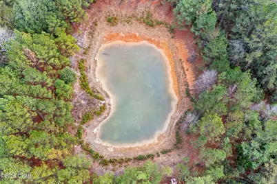 Xxx Sumac Road, Westville, FL 32464 - Photo 12