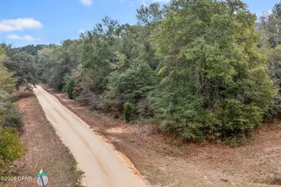 Xxx Sumac Road, Westville, FL 32464 - Photo 4