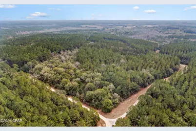 Xxx Sumac Road, Westville, FL 32464 - Photo 16