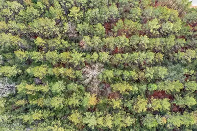 Xxx Sumac Road, Westville, FL 32464 - Photo 6