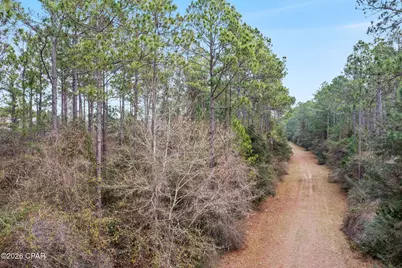 Xxx White Oak Lane, Bonifay, FL 32425 - Photo 2