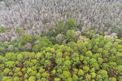 Xxx White Oak Lane, Bonifay, FL 32425 - Photo 10