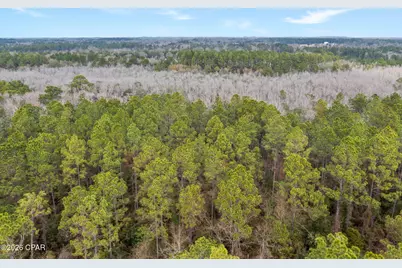Xxx White Oak Lane, Bonifay, FL 32425 - Photo 4