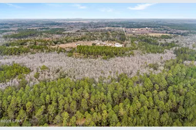 Xxx White Oak Lane, Bonifay, FL 32425 - Photo 6