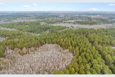 Xxx Hawthorne Trail, Bonifay, FL 32425 - Photo 14