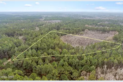 Xxx Hawthorne Trail, Bonifay, FL 32425 - Photo 4