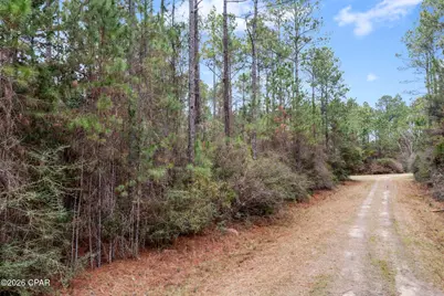 Xxx Hawthorne Trail, Bonifay, FL 32425 - Photo 2