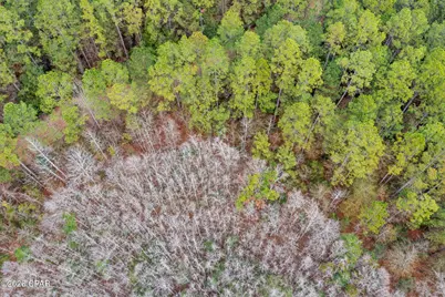 Xxx Hawthorne Trail, Bonifay, FL 32425 - Photo 16