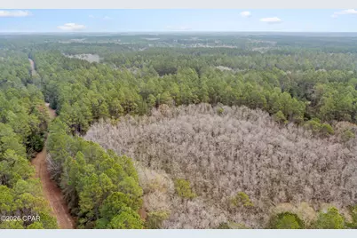 Xxx Hawthorne Trail, Bonifay, FL 32425 - Photo 12