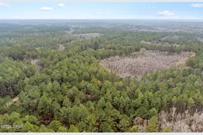 Xxx Hawthorne Trail, Bonifay, FL 32425 - Photo 10