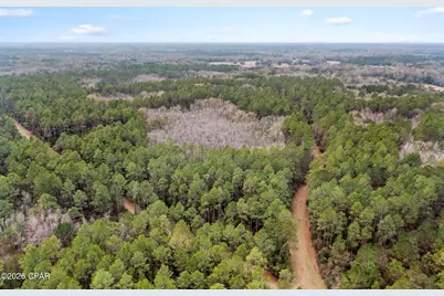 Xxx Hawthorne Trail, Bonifay, FL 32425 - Photo 8