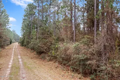 Xxx Hawthorne Trail, Bonifay, FL 32425 - Photo 6
