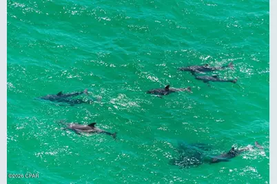 15928 Front Beach Road #3-205, Panama City Beach, FL 32413 - Photo 60