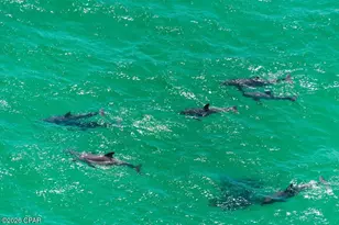 15928 Front Beach Rd, Panama City Beach, FL 32413 - Photo 60