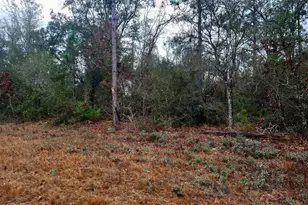 00 Nortek Blvd, Marianna, FL 32448 - Photo 1