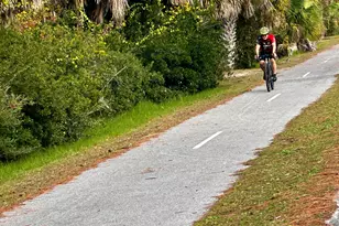 705 Secluded Dunes Dr, Port Saint Joe, FL 32456 - Photo 86