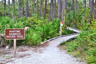 705 Secluded Dunes Dr, Port Saint Joe, FL 32456 - Photo 86