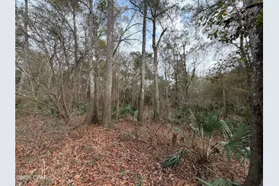 0 Big Cedar Road, Ponce de Leon, FL 32455 - Photo 4