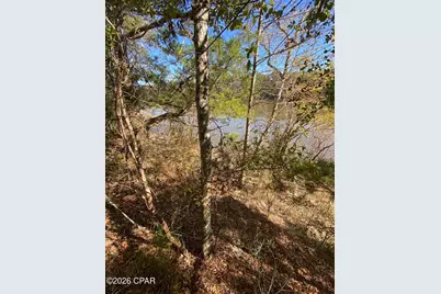 0 Big Cedar Road, Ponce de Leon, FL 32455 - Photo 6