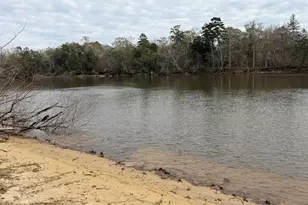 0 Big Cedar Rd, Ponce de Leon, FL 32455 - Photo 1