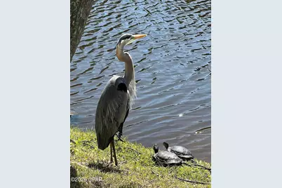 17462 Front Beach Road #22D, Panama City Beach, FL 32413 - Photo 26