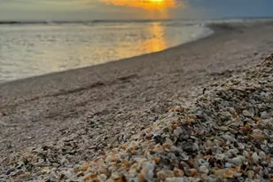 170 Gulf Pines Dr, Port Saint Joe, FL 32456 - Photo 6