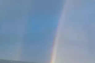 170 Gulf Pines Dr, Port Saint Joe, FL 32456 - Photo 90