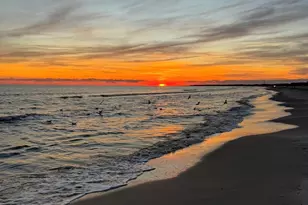 170 Gulf Pines Dr, Port Saint Joe, FL 32456 - Photo 78