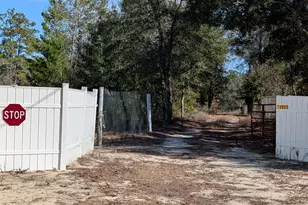 13920 Woodland Rd, Southport, FL 32409 - Photo 8