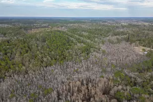 1853 Winterville Ln, Bonifay, FL 32425 - Photo 66