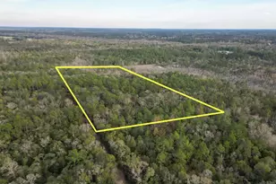 1853 Winterville Ln, Bonifay, FL 32425 - Photo 4
