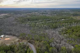 1853 Winterville Ln, Bonifay, FL 32425 - Photo 68