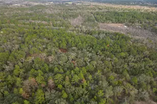 1853 Winterville Ln, Bonifay, FL 32425 - Photo 2