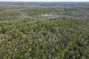 1853 Winterville Ln, Bonifay, FL 32425 - Photo 72