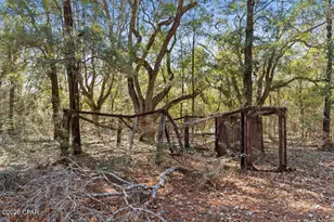 1853 Winterville Ln, Bonifay, FL 32425 - Photo 62