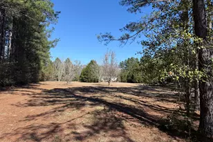 5023 Elmore Rd, Graceville, FL 32440 - Photo 2