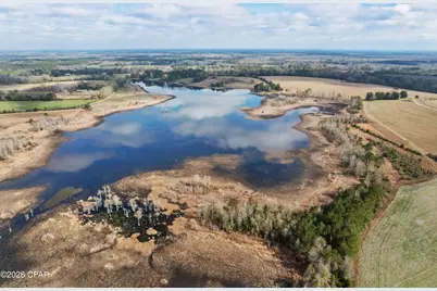 1704 Highway 179A, Westville, FL 32464 - Photo 6