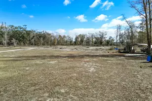 16989 NW Eg Buck Larkins Rd, Bristol, FL 32321 - Photo 4